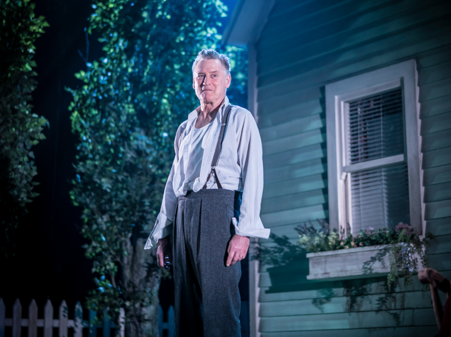 Review: All My Sons by Lyn Gardner cover photo