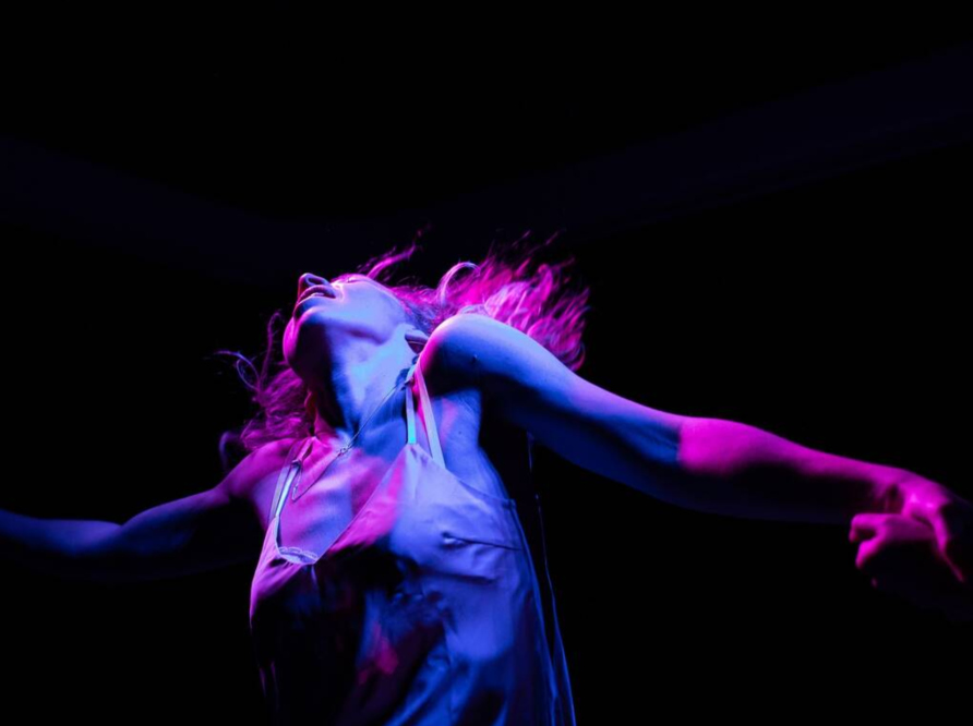 Review: Why you should see Soft Animals at Soho Theatre by Lyn Gardner cover photo