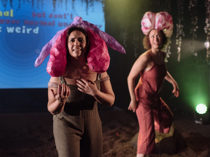 Review: Rejoicing at Her Wondrous Vulva the Young Woman Applauded Herself by Lyn Gardner cover photo
