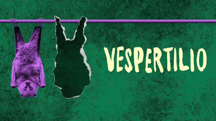 Vespertilio