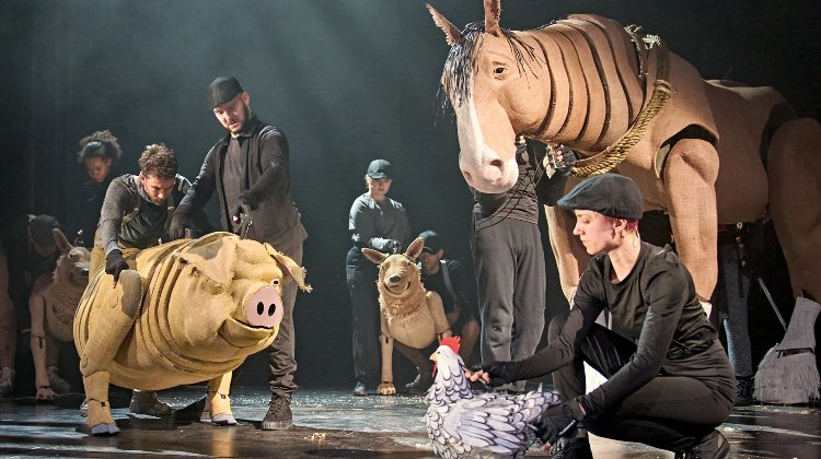 Animal Farm Tickets London Theatre