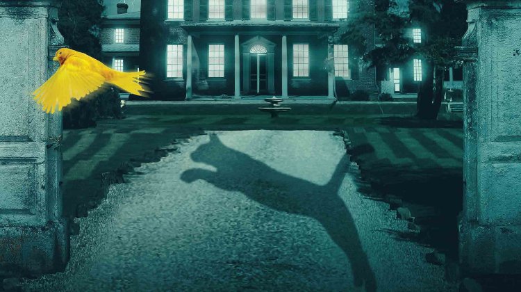 The Cat and the Canary Tickets London Theatre