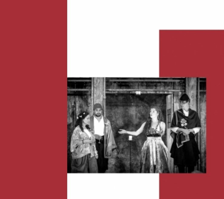 The Comedy of Errors on Stagedoor