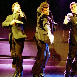 Gecko: Taylor's Dummies