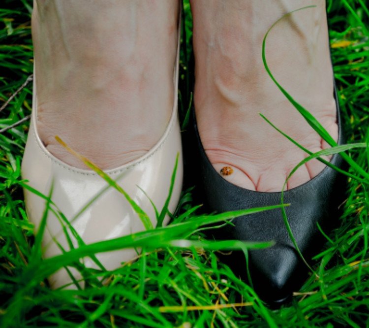 Greenery