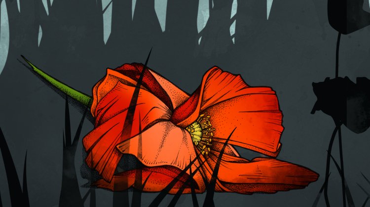 Lest We Forget on Stagedoor