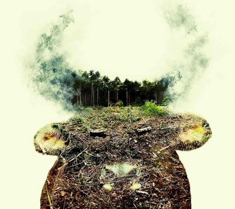 Paul Bunyan