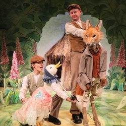Where is Peter Rabbit?