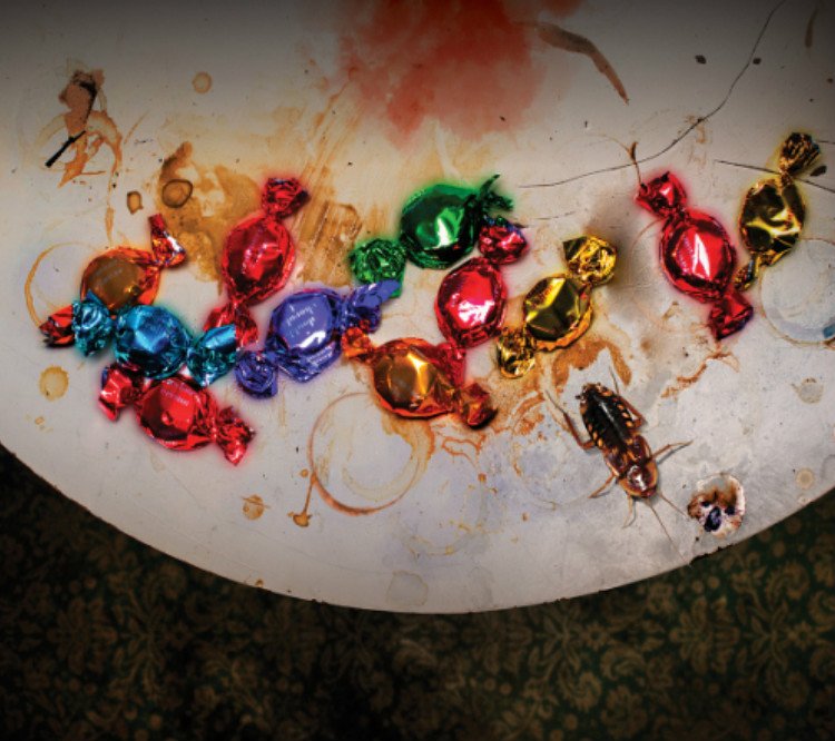 Book The Pitchfork Disney Tickets Contemporary Drama Tickets