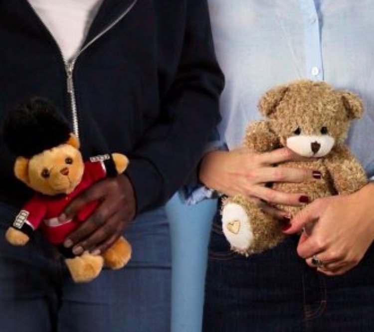 Soft Animals on Stagedoor