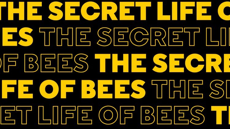 The Secret Life of Bees Tickets London Theatre