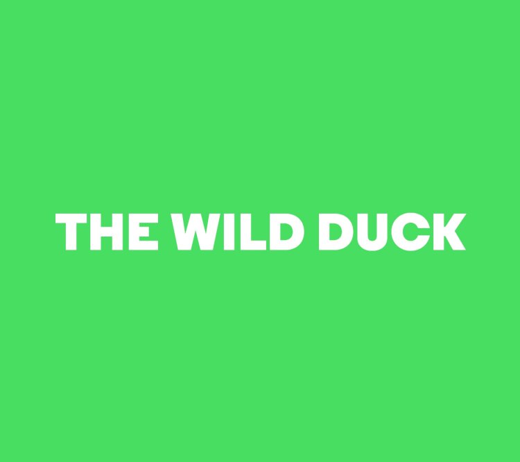 The Wild Duck