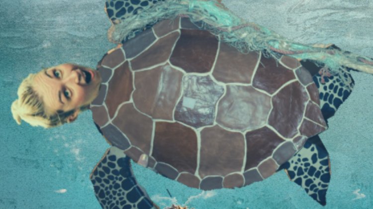 Turtles Don't Like Plastic on Stagedoor