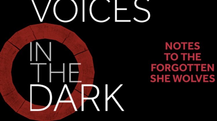 Voices in the Dark on Stagedoor