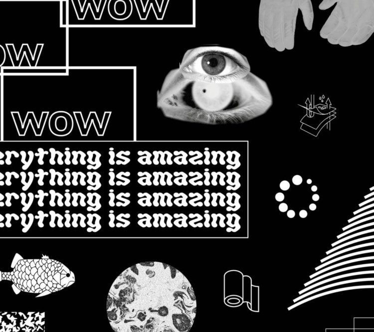 Wow Everything Is Amazing