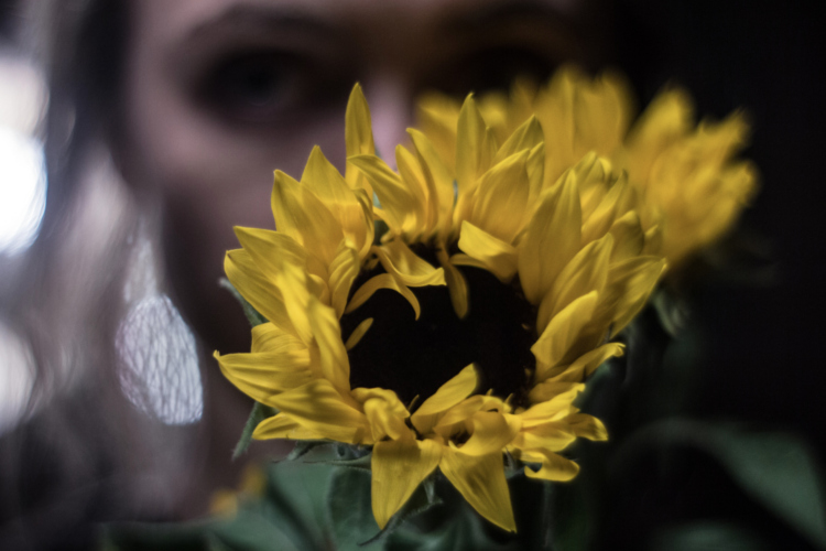 Collide Theatre cover