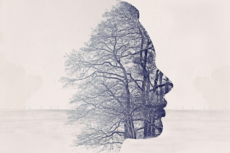 Xameleon Theatre cover